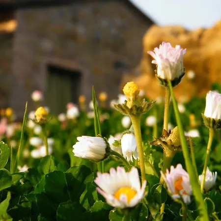 Montegonfoli Alojamento de Turismo Rural
