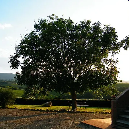 Montegonfoli